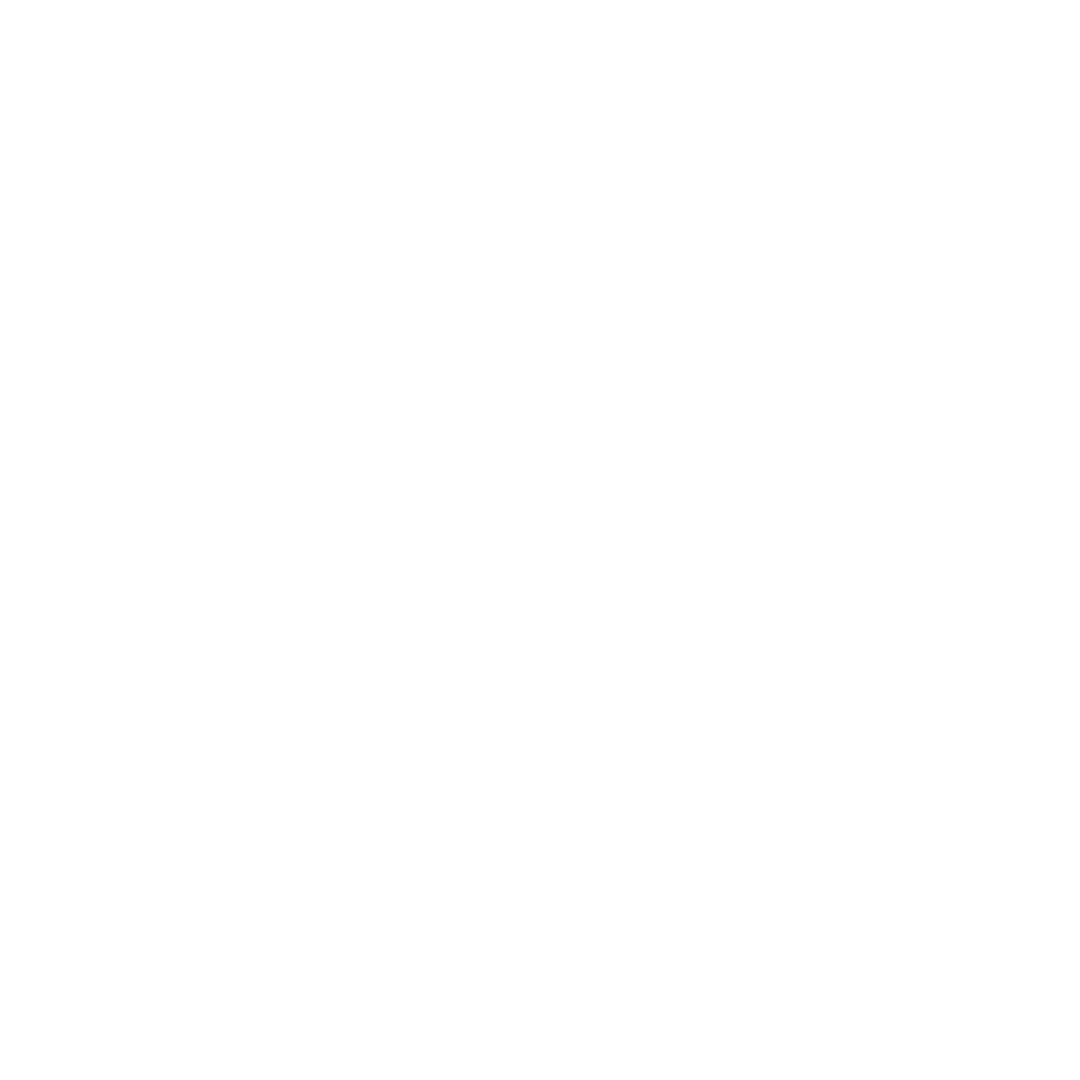 Threat Assessment & Protection Planning icon