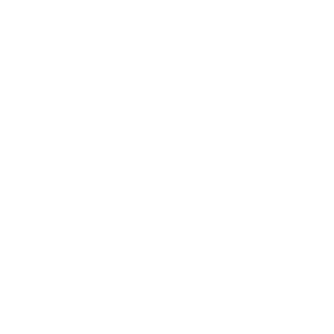 Domestic & International Travelers icon