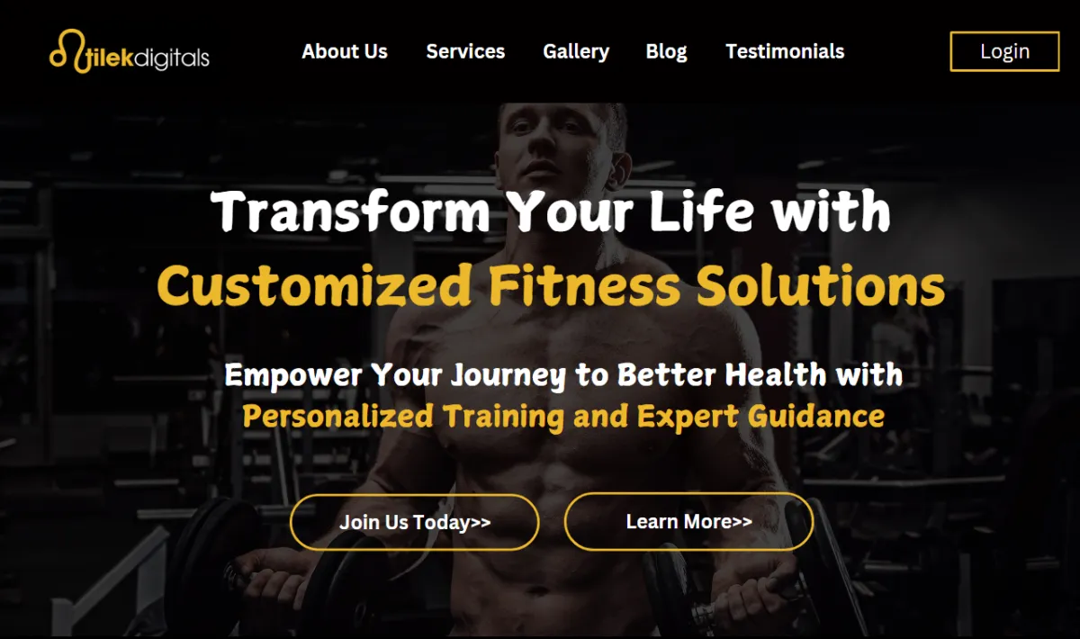 projects, portfolio, Otilek Digitals, digital marketing success stories, web development projects