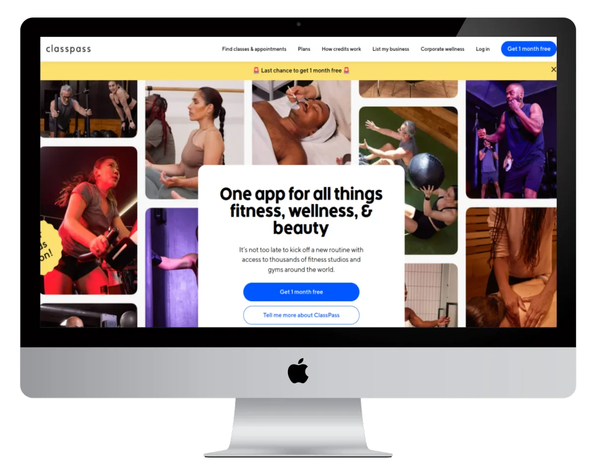 projects, portfolio, Otilek Digitals, digital marketing success stories, web development projects