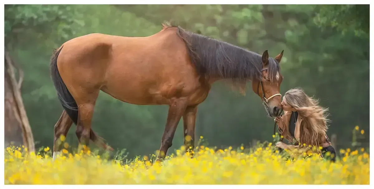 Warm, light-filled photography studio interior