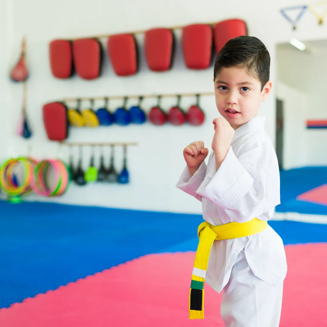 Karate for All Levels