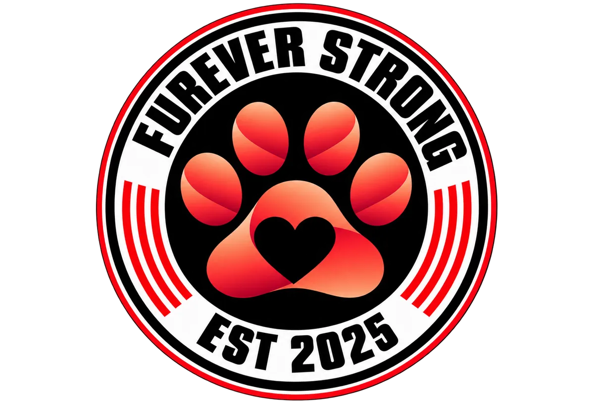 Dog Rescue Foster and Reuificatio
