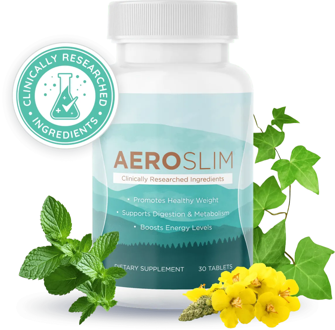 Aeroslim Supplument