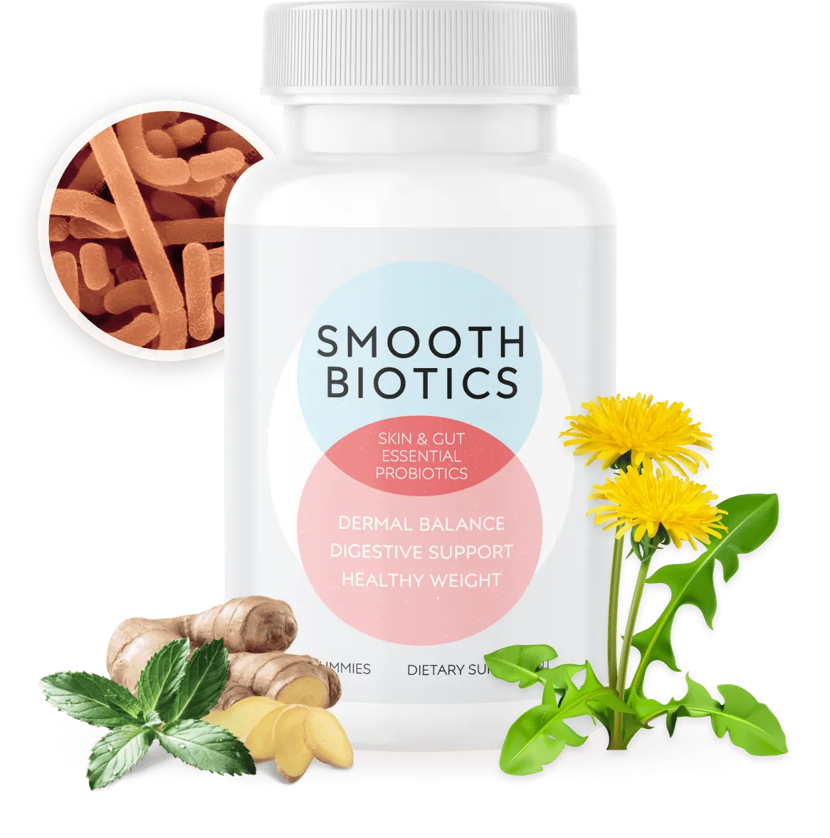 SmoothBiotics-Supplement