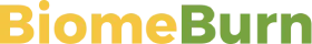 Biome Burn Logo