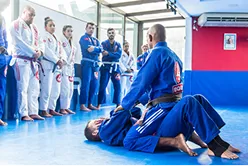 Gracie Barra Adults Jiu-Jitsu Classes West Palm Beach