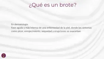 ¿Qué es un brote?