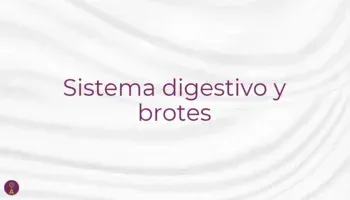 Sistema digestivo  brotes