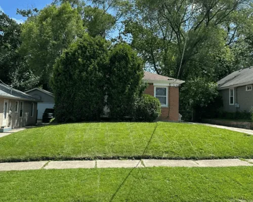 Lawn Care & Maintenance in Kenosha, WI