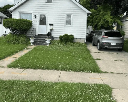 Landscape Design & Planting Kenosha, WI