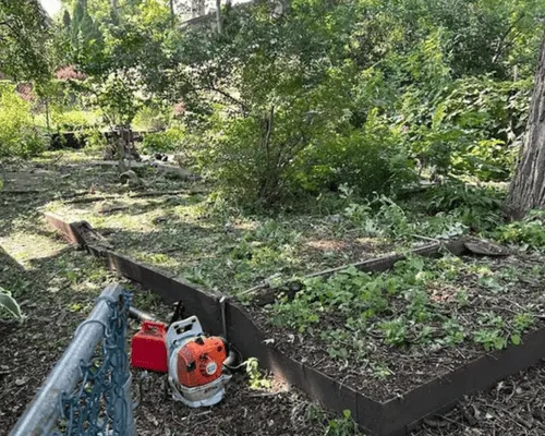 Hardscaping & Seasonal Care Kenosha, WI