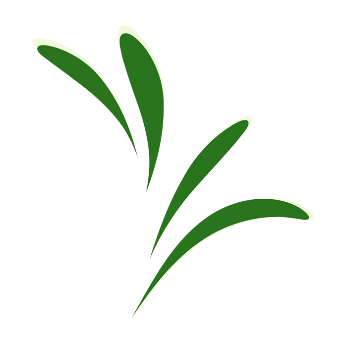 icon of a small sprout symbolizing emotional growth through music and connection