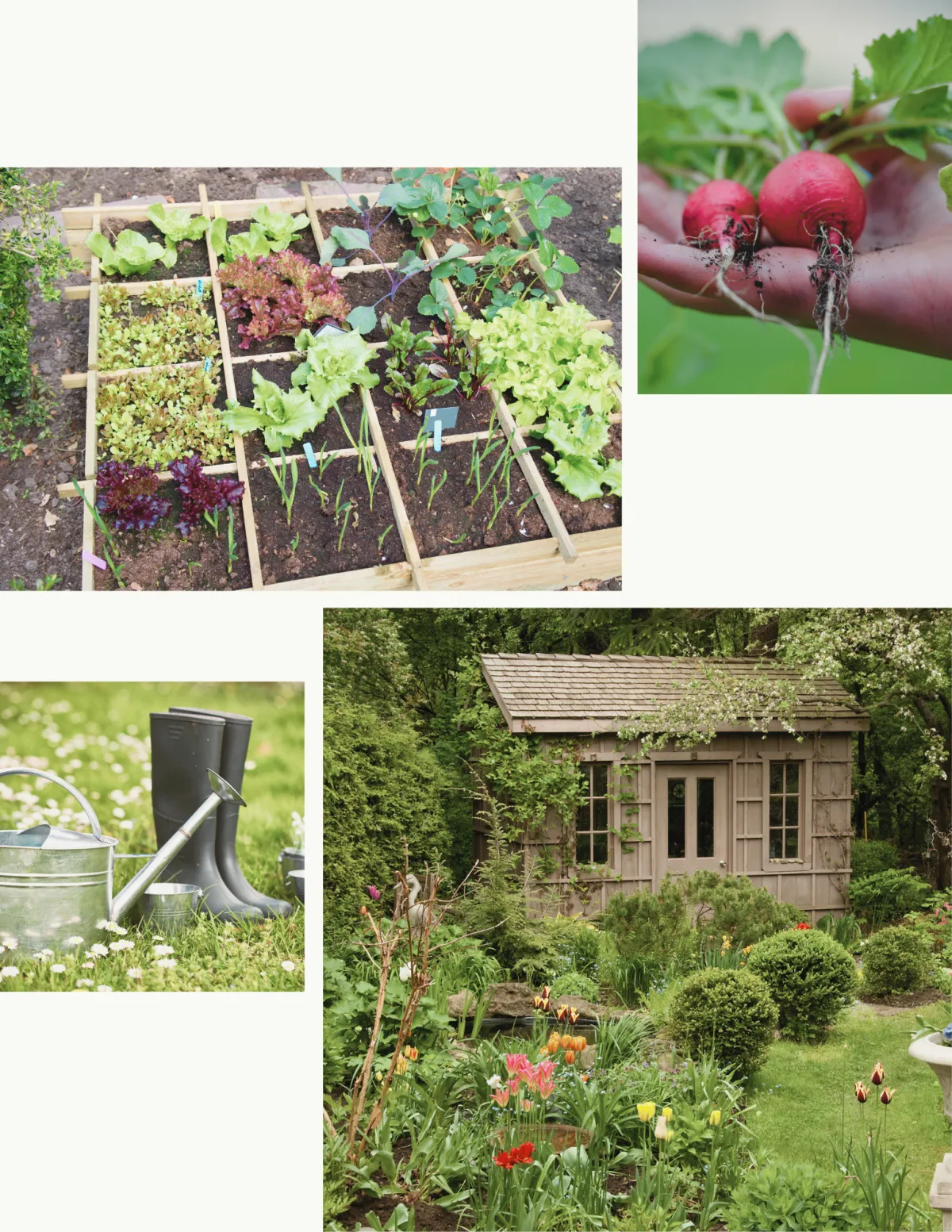 Magical Companion Planting Guide for Spring