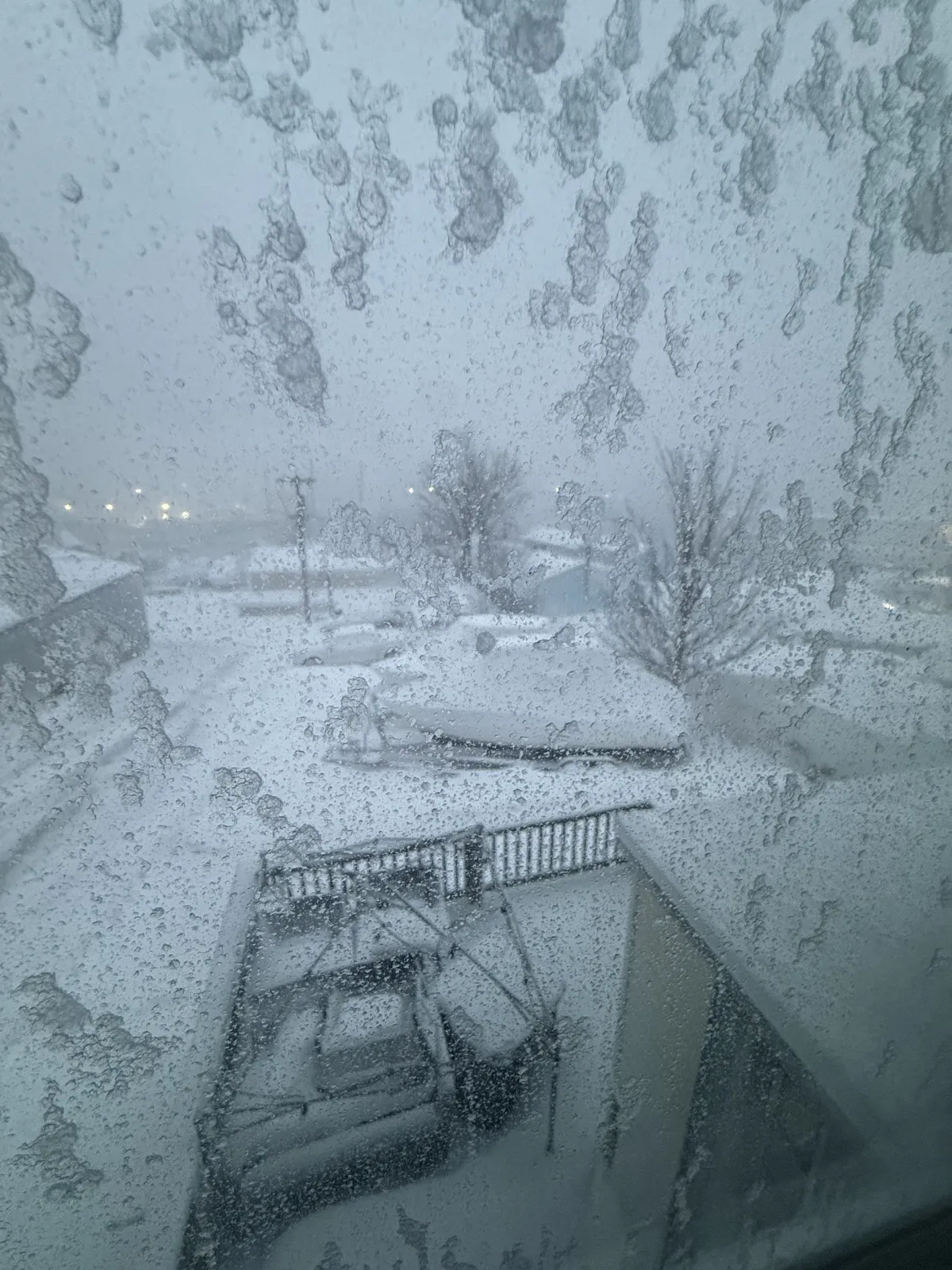 Window with Ice and a snowy landscape
