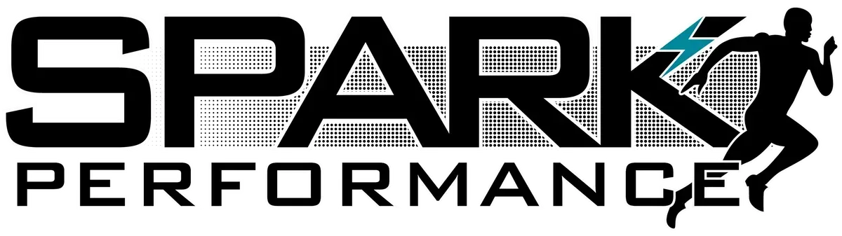SPARK Performance