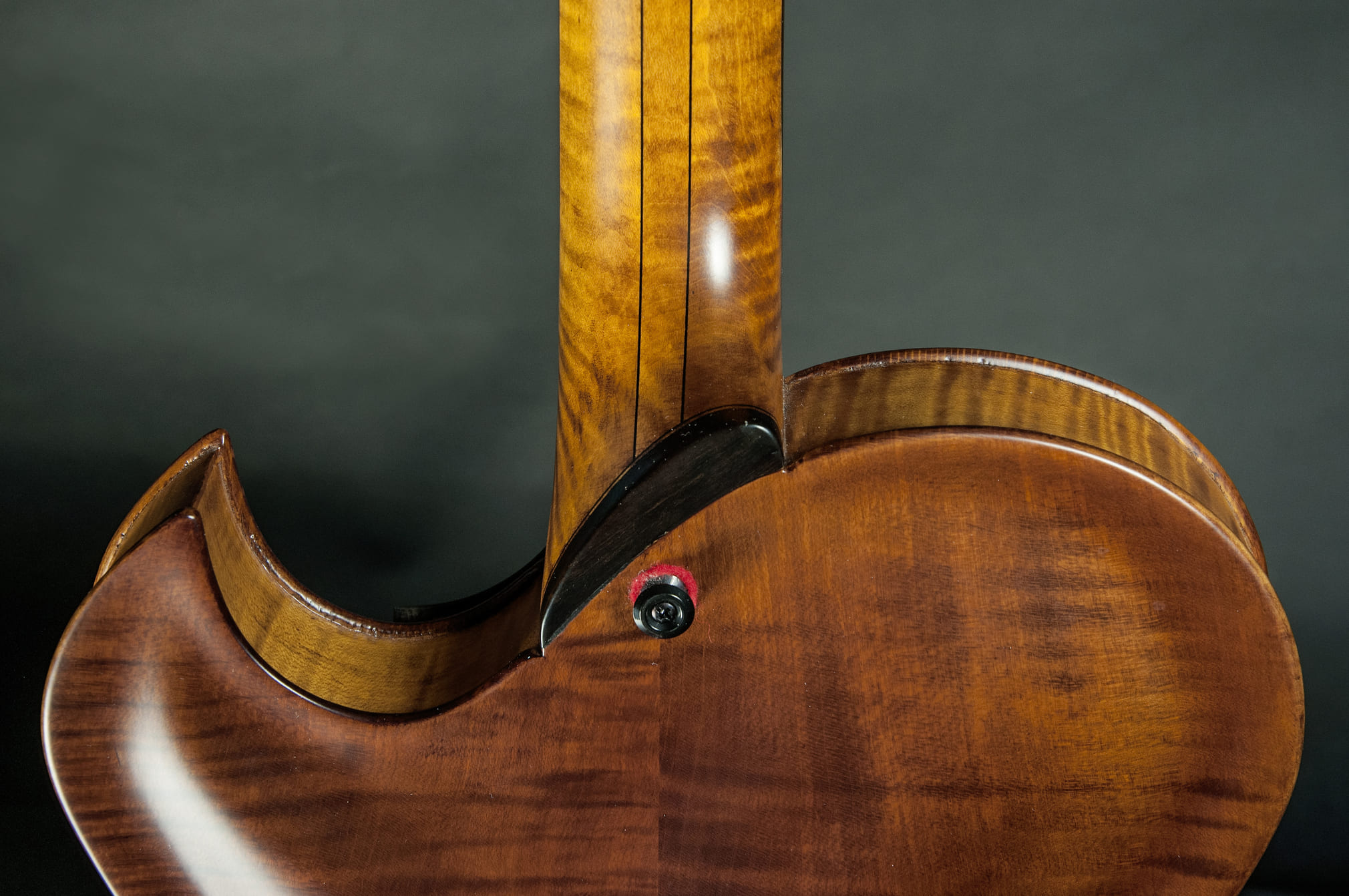 al-guitars-di-fulvio-c