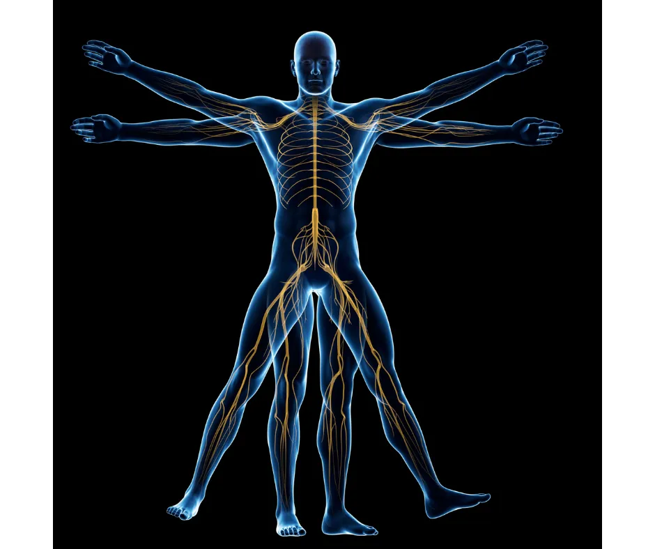 Joint and Muscle Aches