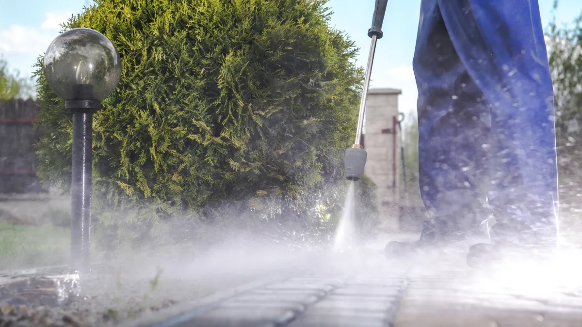 Tyler County Roof Cleaning