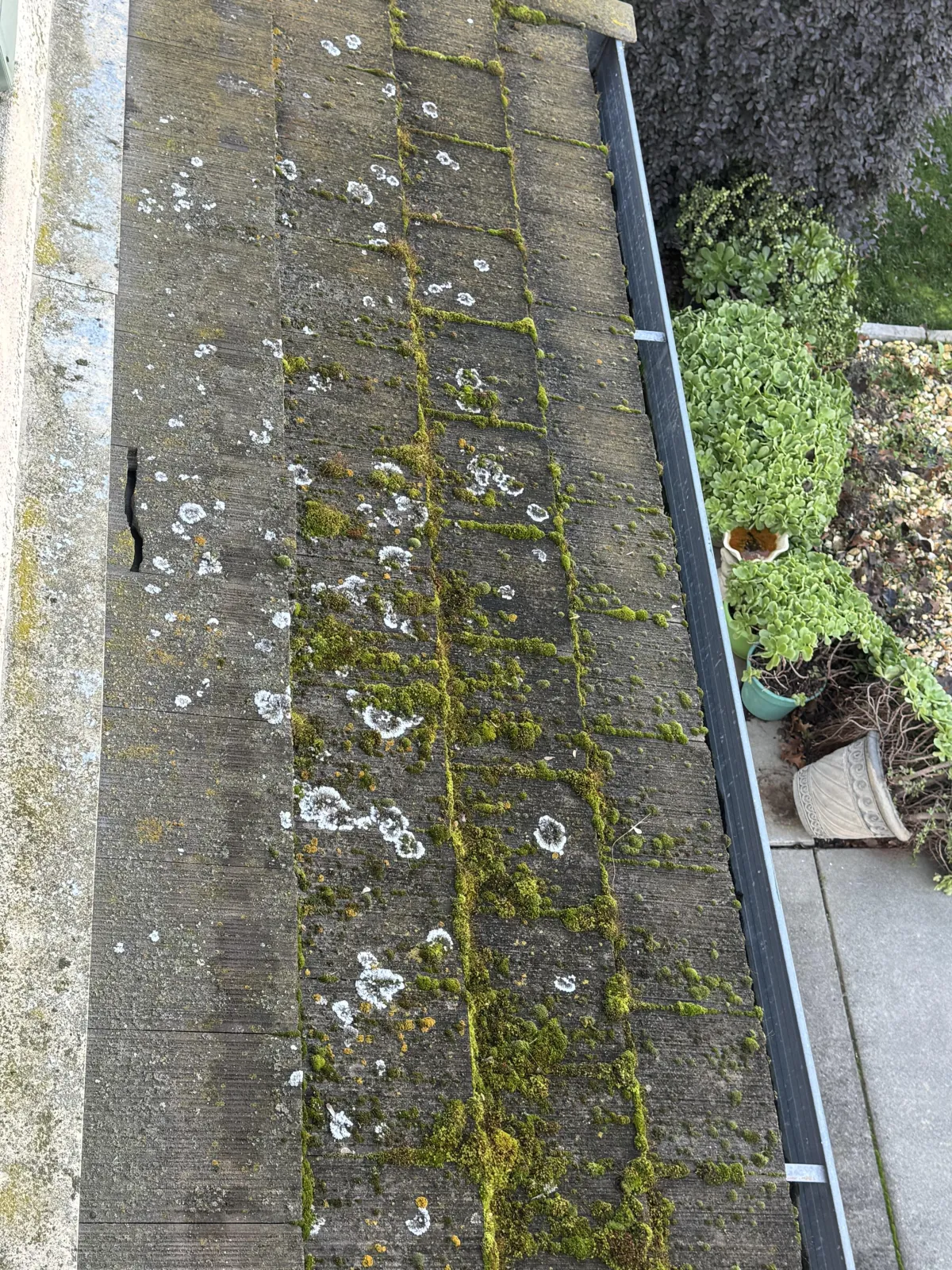 Bird Proofing in Sacramento
