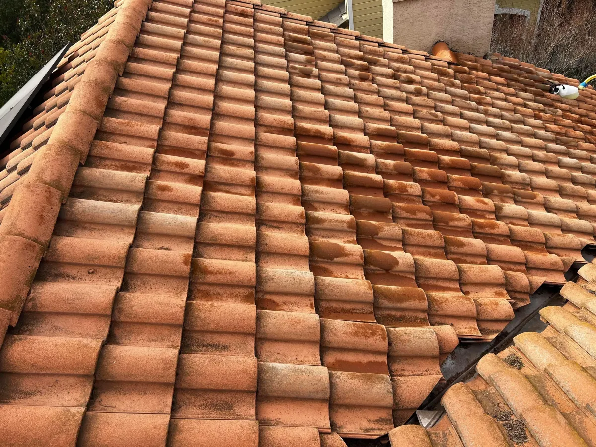 Roof Cleaning in Sacramento