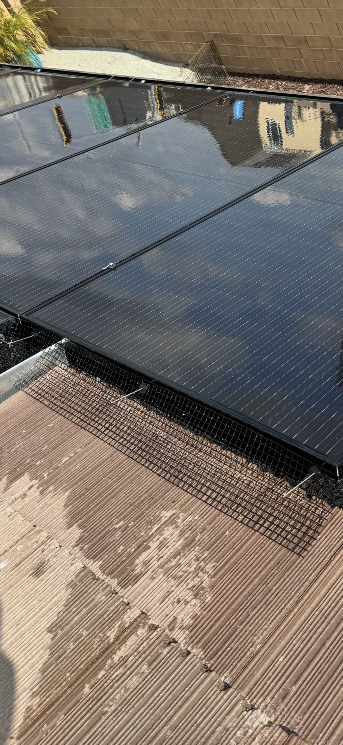 Bird Proofing in Sacramento