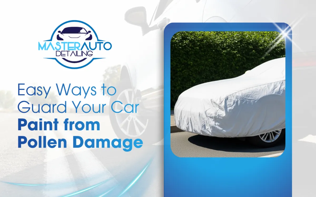 Easy Ways to Guard Your Car Paint from Pollen Damage