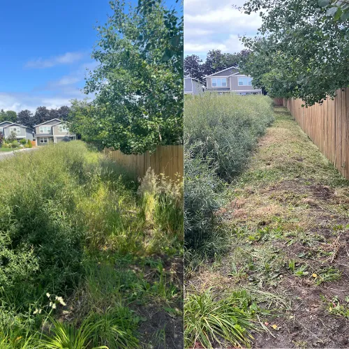 lawn weed eating services before and after