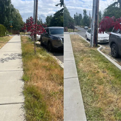 lawn services before and after pictures