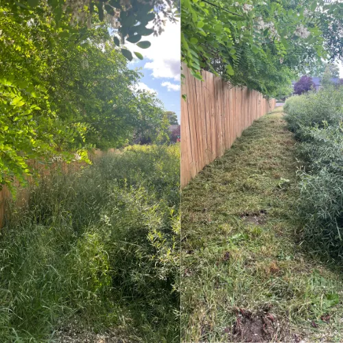 oak harbor lawn care before and after pictures