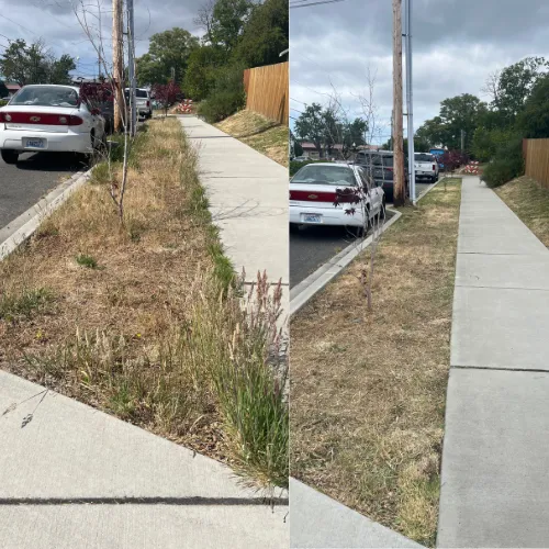 Lawn mowing before and after pictures