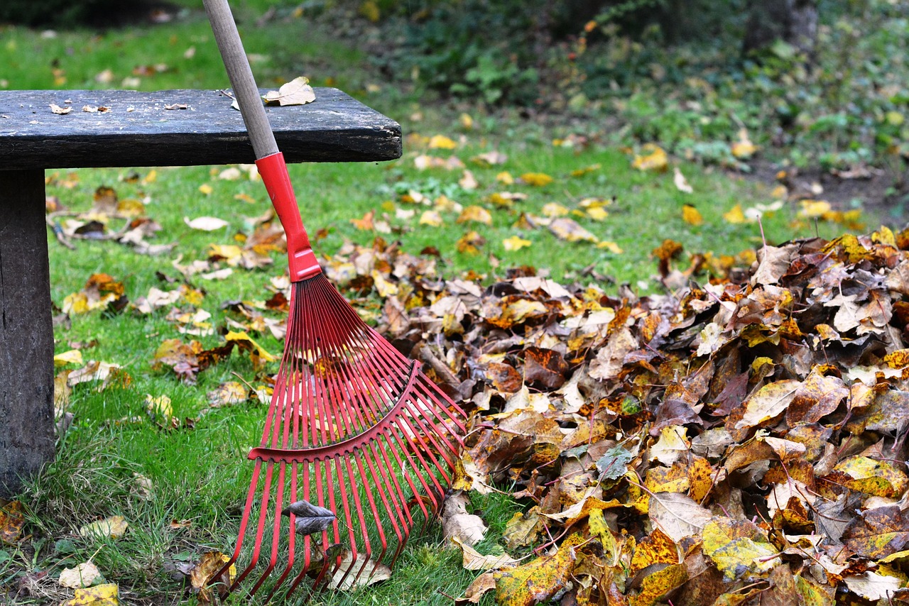 picture of lawn cleanup in oak harbor