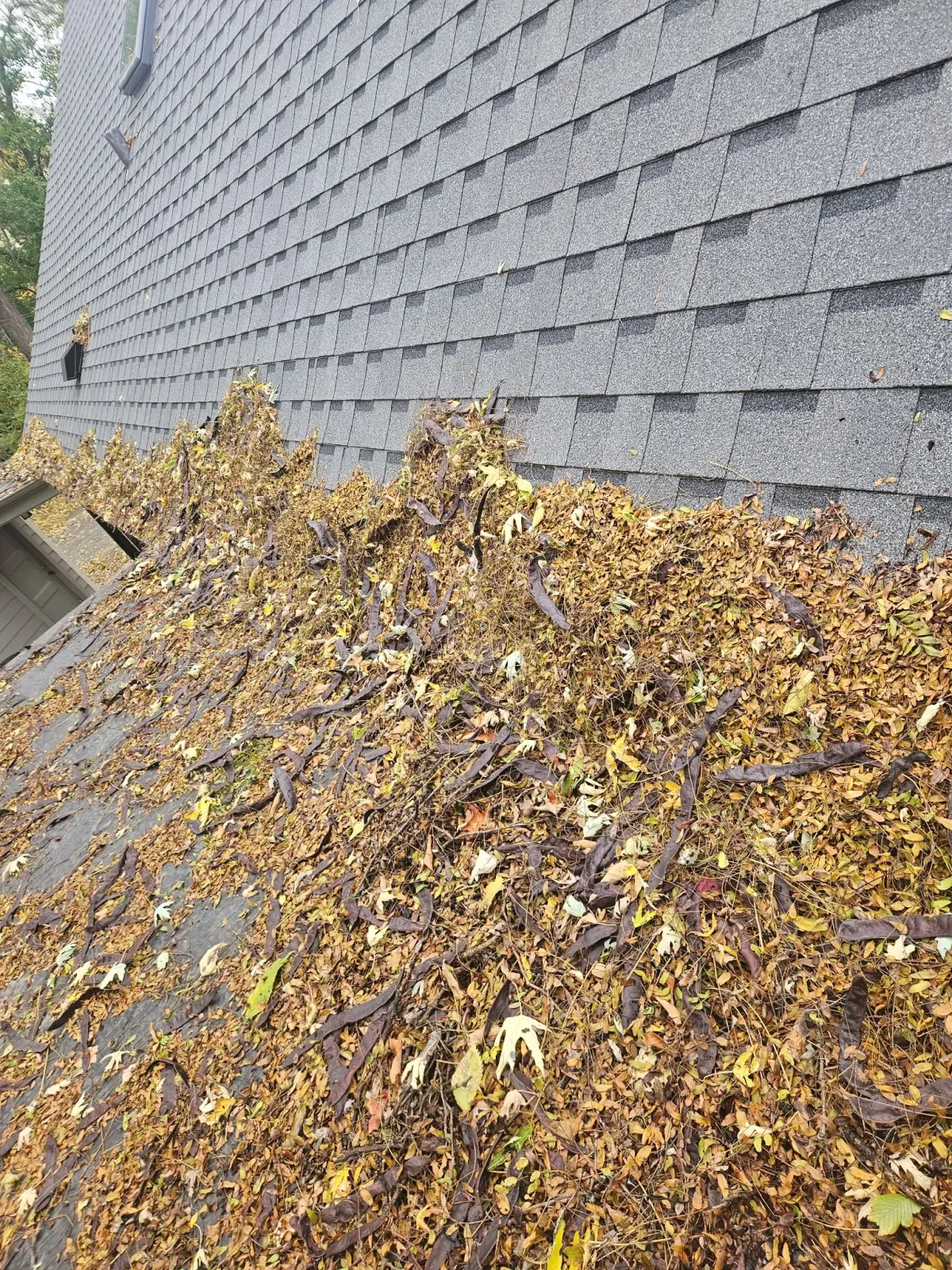 Gutter Cleaning Waukesha, WI