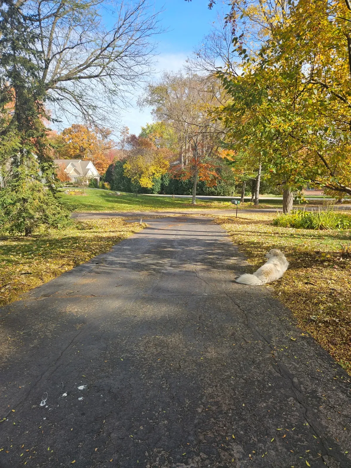 Pressure Washing - Siding Waukesha, WI