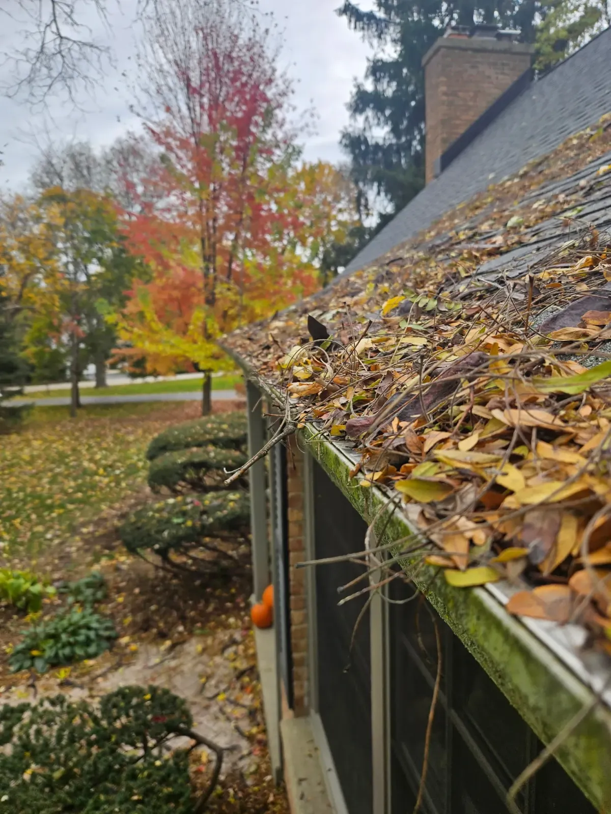  Waukesha, WI