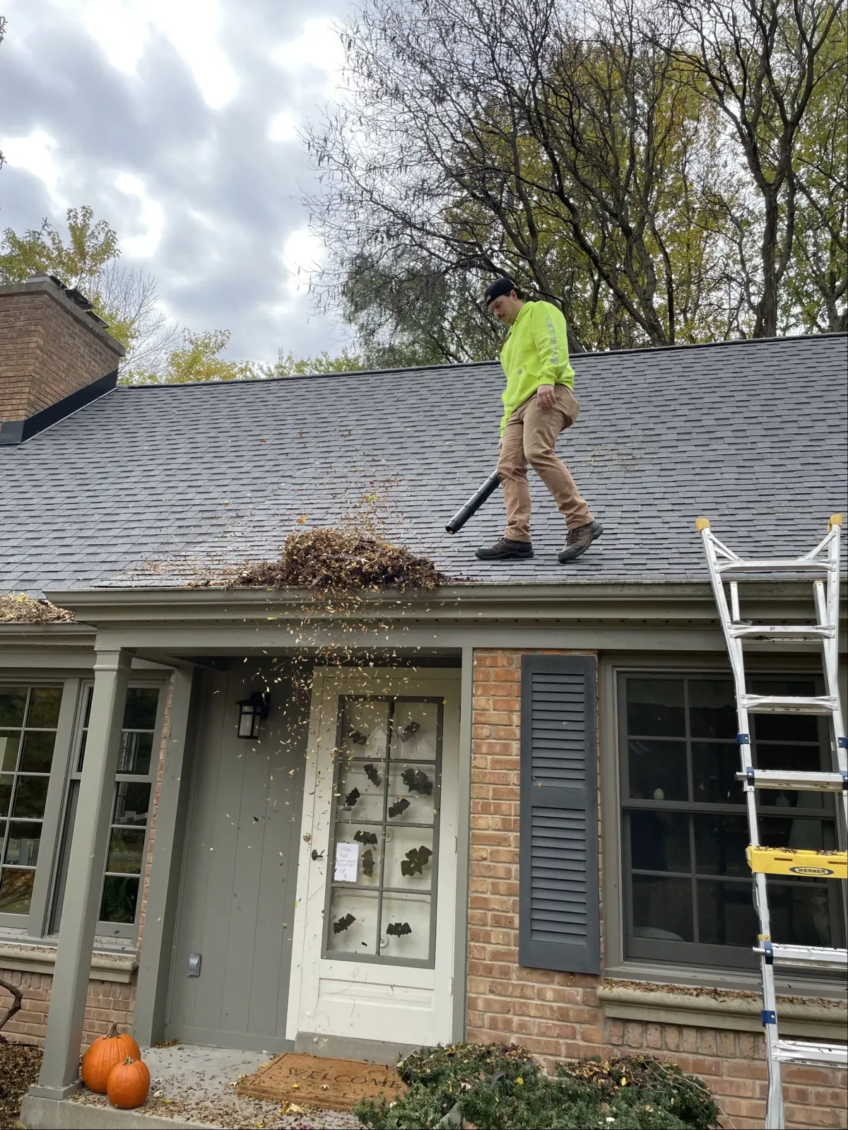 Yard Leaf Removal Waukesha, WI
