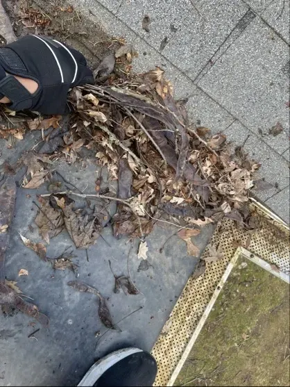 Roof Debris Removal Waukesha, WI