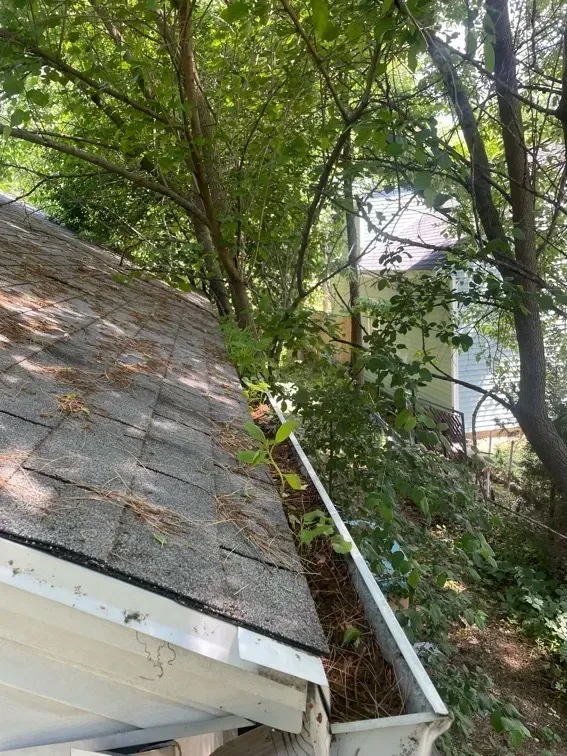 Gutter Replacement Waukesha, WI