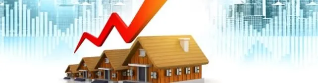 Hedge Against Inflation with Debt