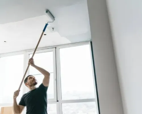 ceiling painters