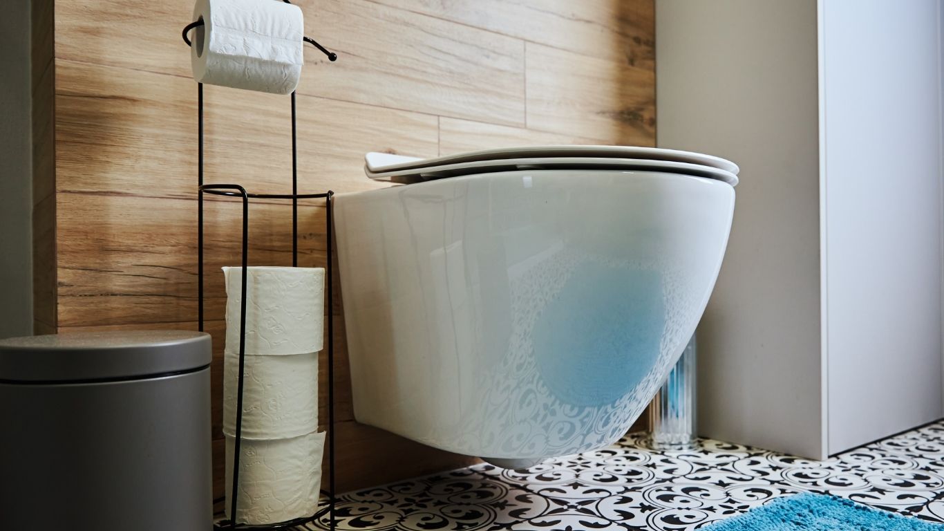 Smart Toilet Installation