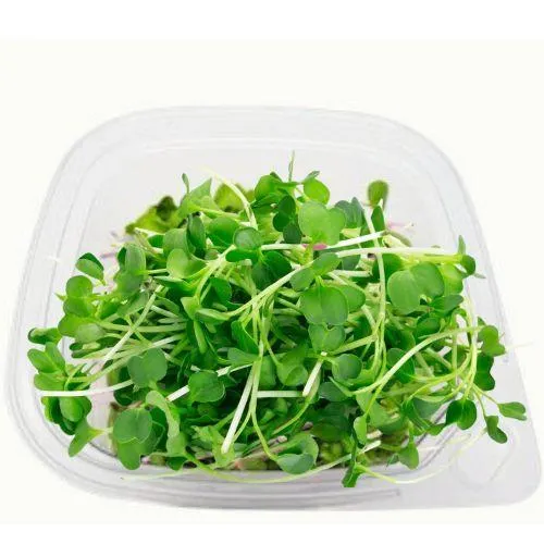 buy microgreens- Arugula