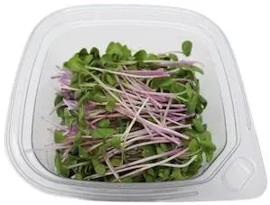buy microgreens- Radish
