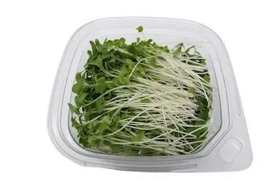 buy microgreens- Broccoli
