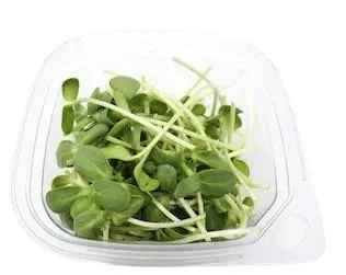 buy microgreens- Sunflower