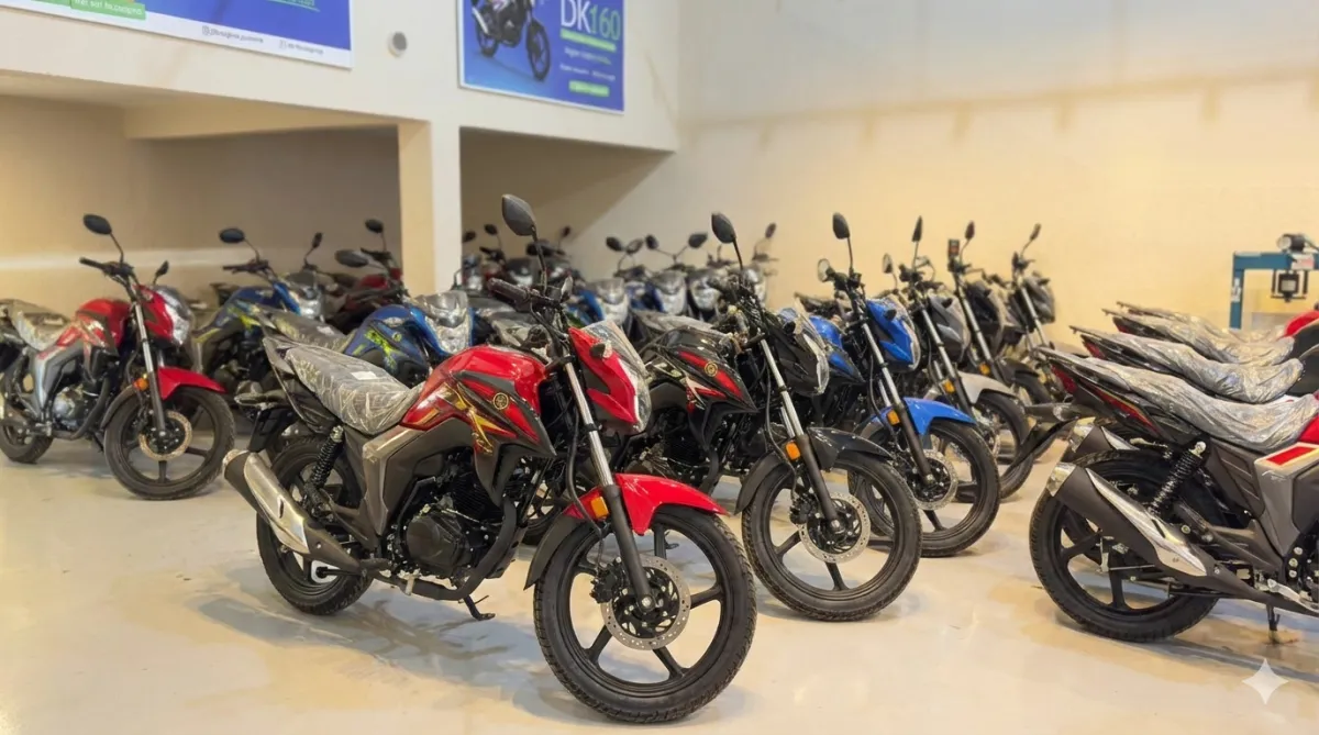 Plano Curto in Campinas