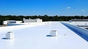 Corpus Christi TPO