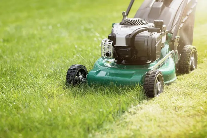 Lawn Care West Auckland