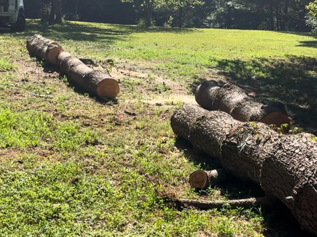 Land Clearing Tree service Yadkin County