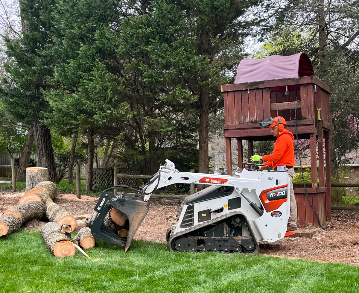 emergency tree Tree service Yadkin County